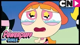 Ultima Moda | As Meninas Superpoderosas | Cartoon Network