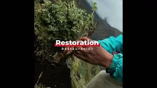 OVER 2 MILLION TREES PLANTED! Accion Andina Results 2021-2022