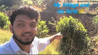 Exploring my Village and farm 🌾🦈