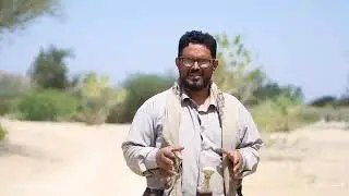 معناه طريق وادي حمراء لباخه المحفد ابين   #ابين