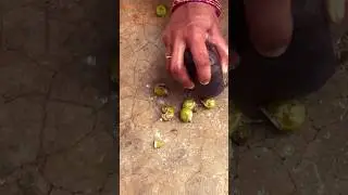 Harvest time#Natural Shampoo#Soapnuts#కుంకుడుకాయలు#gardening#farming #shortfeed #ytshorts