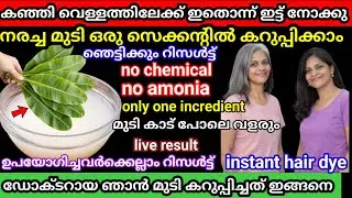 കഞ്ഞി വെള്ളത്തിലേക്ക് ഇതൊന്ന് ഇട്ട് നോക്കു നരച്ച മുടി ഒരു സെക്കന്റിൽ  കറുപ്പാക്കാം/ viralinstantdye 