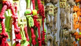 Zoomark International 2017 | Hall 14