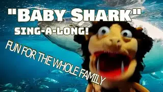 Baby Shark with Wilton the Troll!