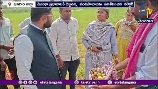 Crop Damage Survey Begin in Jangaon | Collector Rizwan | మొంథా తుపాను నష్టాన్ని పరిశీలించిన కలెక్టర్