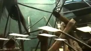 crazy long hair primate