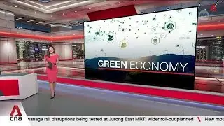 Nature-based carbon credits: Singapore to secure first carbon credits from 4 overseas projects