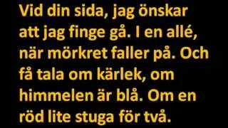 Vid din sida Sven Ingvars