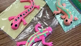Model Magic Salamander