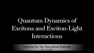 Quantum Dynamics of Excitons and Exciton-Light Interactions