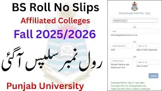 PU All BS Colleges Exams Final Term Roll No Slips Download | BSCS Roll No Slips 2026 | College BSCS