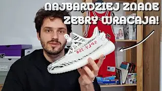 NAJSŁYNNIEJSZE ZEBRY NA ŚWIECIE! Adidas Yeezy 350v2 