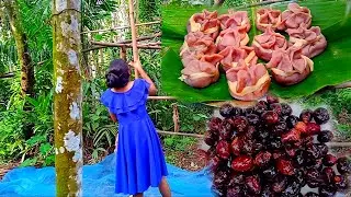 Black plum (কলা জামুক) : Fruit of God || Preparing few recipes from Black Plum.
