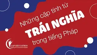 Những Cặp Tính Từ Trái Nghĩa Tong Tiếng Pháp Mà Bạn Nên Biết | CAP FRANCE