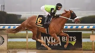 Courvoisier - Jerome Stakes - 2022