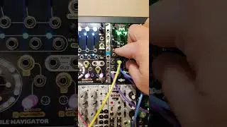 Modular Patch Notes - beautiful reverb from Noise Engineering Versio range #shorts