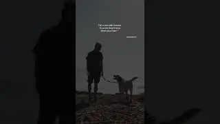 Dog love quotes❤️#shorts #youtubeshorts #doglover #bestquotes #viralquotes #love #lovequotes