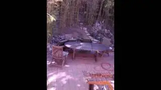 Tarzana house