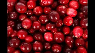 Instant Pot Mini 3qt Cranberry Sauce