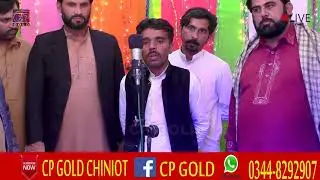 ALL TEAM CP GOLD NEW Selection 2019