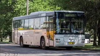 MAN SÜ 313 LION'S CLASSIC  VOLÁNBUSZ FLX-656
