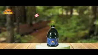 Avashyya Noni Dia Plus
