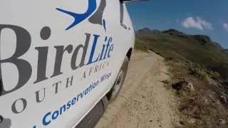 BirdLife South Africa & Toyota