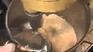 PADARIA 2000 - Pão Alemão Salgado
