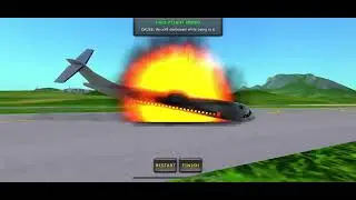 Delta Flight 1141 crash 