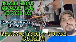 Diagnose and repair Trane XR80 gas furnace. POWER SURGE!