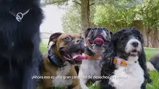 Recogela - Soy La Cuenca del Rio Carson