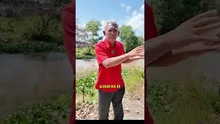 ISU SAWAH TENGGELAM SEKITAR ALOR PENYENGAT DAN SUNGAI KANDAI, MADANI BERTINDAK