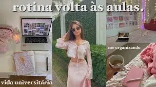 rotina volta às aulas 📚🌷