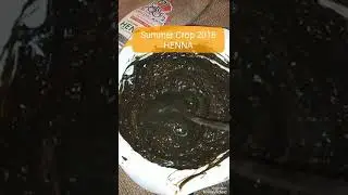 Henna by organic roots pk