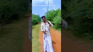 Snakehead fishing 🎣 hunting black rod tamil #shorts