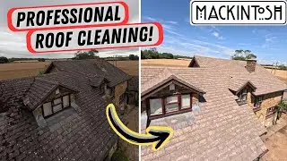 Professional Roof Cleaning