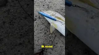 Every bite builds confidence [SoCal Surf Fishing]
