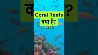 Coral Reefs: Life under the Ocean #formation #viral #shorts #geography