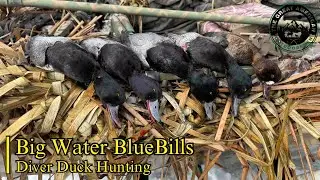 Big Water BlueBills | Diver Duck Hunting