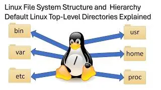 Linux File System Hierarchy and Structure | Linux Top-Level Directories Explained