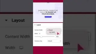 WordPress Elementor | Elementor Design | WordPress Customization