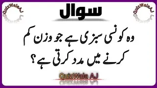 Top  Questions Answers - Urdu Quiz - Islamic Paheliyan - Islami Sawal Jawab - Islamic Quiz