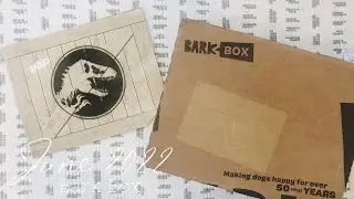 Bark Box | June 2022 Subscription Box Unboxing