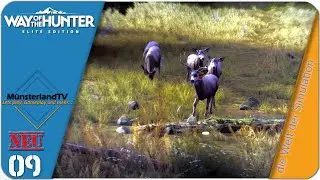 Way of the Hunter #09 | Stream Mitschnitt Twitch | Jagdsimulation | Release 2022  | deutsch | PC