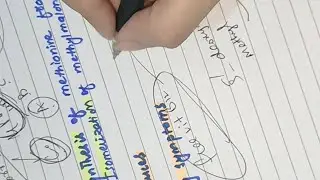  Cobalamin/Vitamin B12 /Lippincott biochemistry 