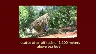 Suan Lahu Daveyo Bamboo School