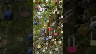 Lock 🔐 collection at park ASMR #shorts #viral