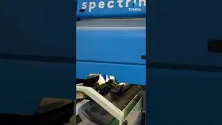 Smarter Avocado Sorting Starts Here: TOMRA Single & Dual Lane Solutions
