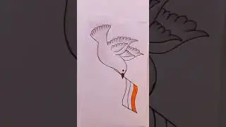 Easy Pigeon Drawing With Flag