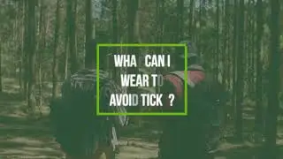 Fight the Bite: What Can I Wear to Avoid Ticks? | Lake County Health Department
